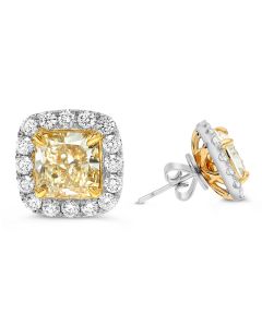 Yellow Diamond Stud Earrings in 18K White and Yellow Gold